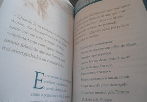 imagem_8