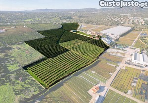 Quinta T7 em Quelfes de 102150,00 m²