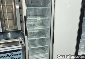 Armrio frigorifico de congelao com porta de vidro 300 Litros