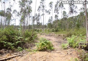 Terreno Rustico Junto À A25