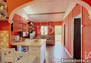 imagem_7