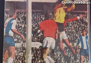 Caderneta Os embaixadores do futebol portugus de 1971/72 completa