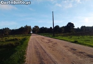 imagem_7