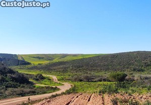 Terreno T1 em Vila do Bispo e Raposeira de 174170,00 m²