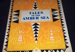 Livro Tales of the Amber Sea Contos de encantar