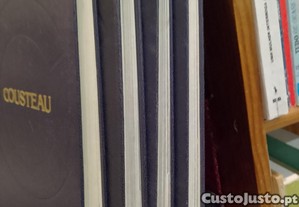 imagem_8