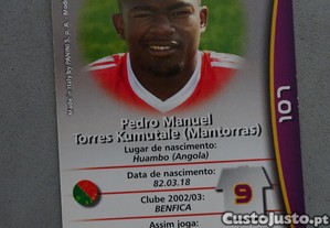 imagem_2