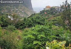 Terreno em Porto da Cruz de 990,00 m²