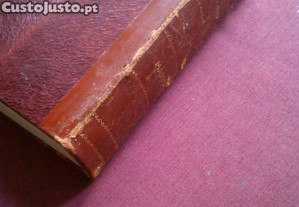 imagem_6