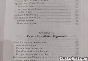 imagem_8