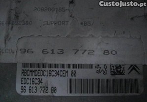 imagem_2