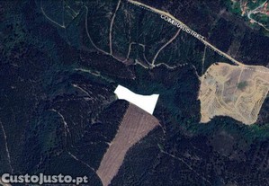 Terreno Agr�cola em Espinhal de 8550,00 m�
