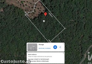 Terreno em Alvorge de 4550,00 m²