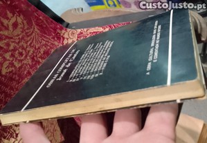 imagem_7