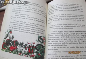 imagem_6