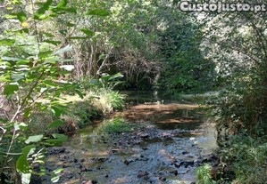 Casa em Pedr�g�o Grande de 50,00 m�