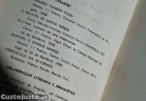 imagem_8