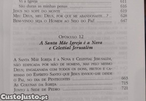 imagem_9