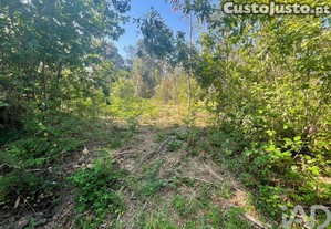 Terreno em Vila de Punhe de 4388,00 m²