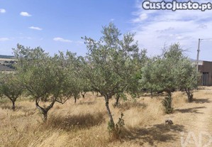 Casa T2 em Castelo Branco de 144,00 m