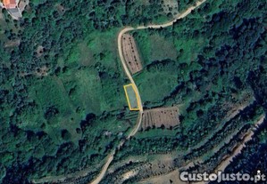 Terreno Agr�cola em Espinhal