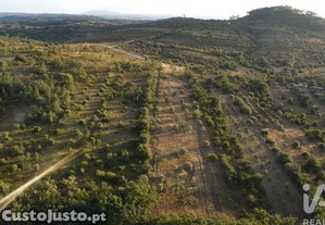 Terreno em Chãos de 8160,00 m²