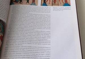 imagem_6