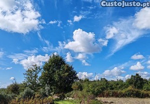 Terreno Agrícola em Seixo da Beira de 31075,00 m²