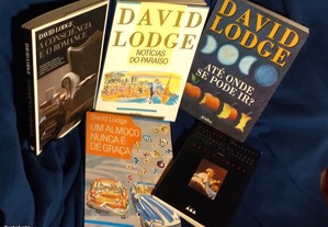 5 livros de David Lodge: A Consciência e o Romance/Notícias do Paraíso/ etc