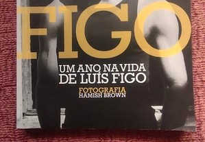 Um Ano na Vida de Luís Figo