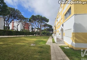 imagem_21