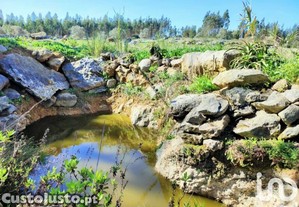 Terreno em Reguengo Grande de 27508,00 m²