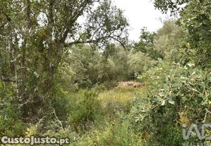 Terreno em Ch�os de 4120,00 m�