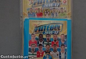 imagem_1