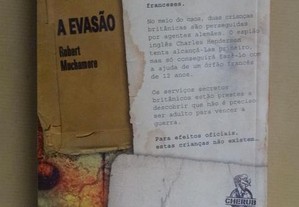 imagem_4