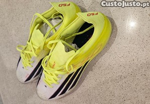 imagem_5