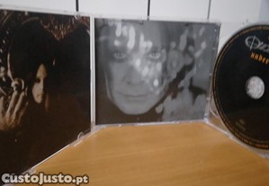 imagem_6