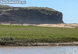 imagem_8