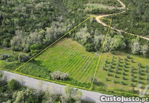 Terreno Agr�cola em Podentes