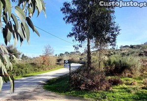 Terreno em Oliveira do Hospital e S�o Paio de Grama�os de 24500,00 m�
