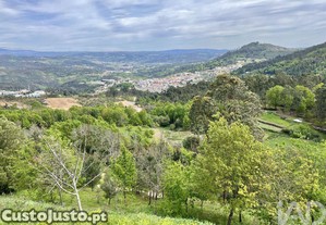 Terreno em Vouzela e Paos de Vilharigues de 26750,00 m