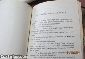 imagem_4