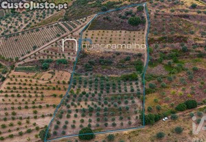 Terreno em Poo do Canto de 11872,00 m