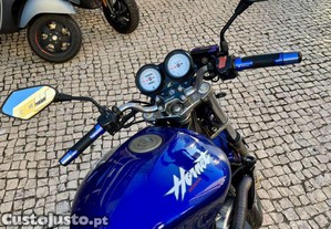 imagem_11