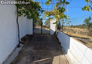imagem_28