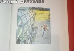 imagem_8
