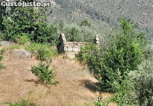 Terreno em Seixo da Beira de 3000,00 m