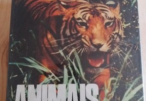 imagem_2