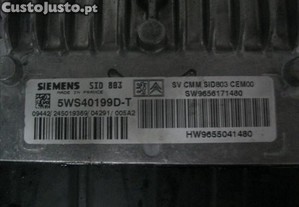 imagem_2