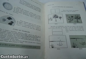 imagem_7